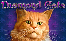 Diamond Cats slot machine