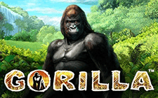 Gorilla slot machine