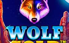 Wolf Gold slot machine