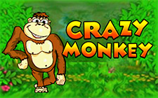 Crazy Monkey slot machine